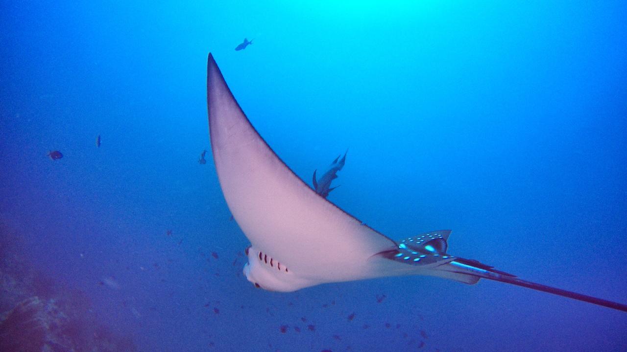 Athiri Beach Maldives Dhigurah  Buitenkant foto