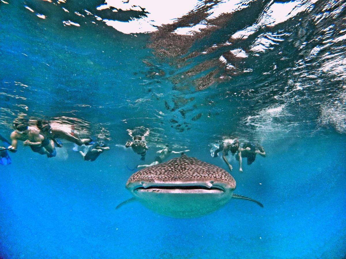 Athiri Beach Maldives Dhigurah  Buitenkant foto